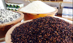 Gạo Thảo Dược, Thực phẩm an toàn và bổ dưỡng…
