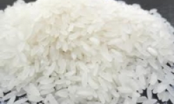 Bộ Công thương chính thức “cởi trói” cho hạt gạo
