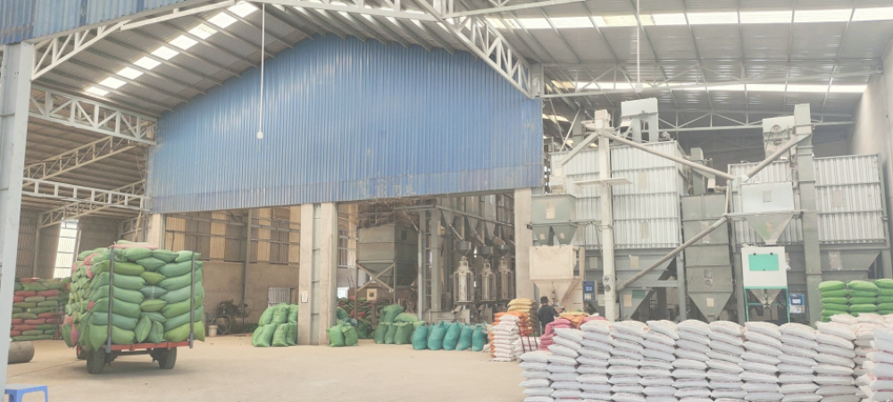 xổ số miền bắc ngày 27 tháng 1 - Bí Quyết Truy Cập An Toàn