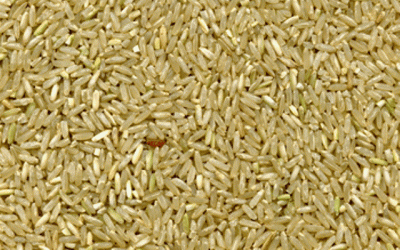 Lợi ích của gạo lứt